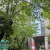 岐阜県博物館へ