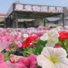 本日営業いたします！