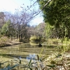 小金井公園の二ツ池でかいぼりが終了していたようです