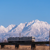 だいこんが多かった今宵の富山地鉄