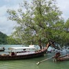 Railay East