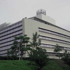携帯電話開発とyrp Runner In The High