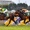 競馬初心者必見☆馬券予想🔥〜毎日杯〜共同通信杯組が活躍してエフフォーリアの凄みが増すか！？〜