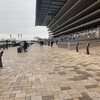 2019/02/11（月曜日）東京競馬場しかレースないのに競馬ファンが…！？