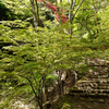 神奈川 大山阿夫利神社