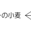 (22)Ⅰ版本文　パラグラフ７