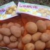 春の蒔き物を準備　されど”暖冬”の影響あり