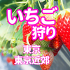 2022年-2023年【東京】 いちご狩り 人気スポット19選