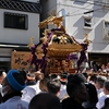 ◆神輿と湯島白梅太鼓（湯島天神/東京都文京区）
