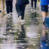 雨。
