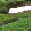 白馬五竜高山植物園と地蔵の頭へ行ってきたよ（2017梅雨）