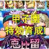 恵比留高校で春の熱血甲子園2019の特効育成!また筋力不足…[パワプロアプリ]