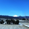 小田原へ箱根駅伝応援に行く