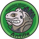 Reptiles shop Antille アンティル