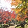 serowでお散歩2025（⑫県立七沢森林公園）