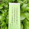 2021年4月のおついたち　むくいを求めぬよう