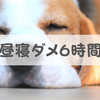 【長時間】2〜3時間の昼寝がもたらすデメリット4つ