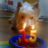 ノエル15歳です！
