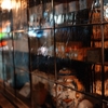 SIGMA fp x KYOTO x TEST SHOT【作例】Vol.01