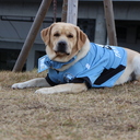 フロンターレサポーターSaraの日記