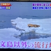 自分の撮影した写真がテレビ番組に使用された話