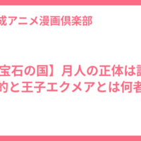 【宝石の国】月人の正体は誰?目的と王子エクメアとは何者？