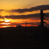 2025-02-06(Thu)