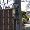 三渓園の春！