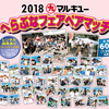 2018 マルキユーへらぶなフェアペアマッチ