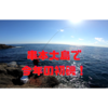 寒グレ開幕！串本大島須江エリア１級磯本タライで湧きグレ増殖中ｗ（動画あり）