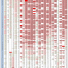 新型コロナウイルス、国別・人口あたり新規感染者数（7月7日現在） / List of COVID-19 cases per population by country, as of July 7