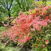 二本木峠
