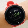 Garminの叛乱