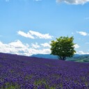 元英語教師なっぴの思春期の子育て☆