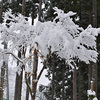 自宅周りの除雪