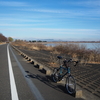 渡良瀬遊水地、道の駅ごか　～利根川、渡良瀬川