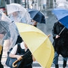 台風２１号は凄かった！