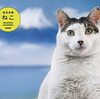 11月28日は「猫と人の日」