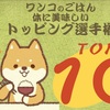 ワンコのごはんトッピング選手権・体においしいトップ１０をご紹介
