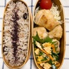20240606鶏もも肉のカレーグリル弁当