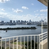 【子連れ旅行】ヒルトン東京お台場レポ①♡お部屋編
