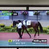 パカ競の一口馬主日誌　ダグザ6/13