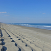 鹿島灘海浜公園の海の美しさ