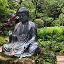 毎日ばたつく