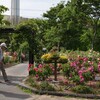 守山バラ・ハーブ園