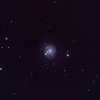 ＮＧＣ３３４４：こじし座の渦巻銀河