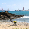 大浦湾を望む浜での追悼集会