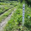 そんなわけで青木山 またの名を奴田山