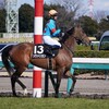 【一口馬主／ソワドリヨン】敗戦！も手応えあり？