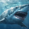 メガロドン：新生代の海を支配した巨大なサメの物語
